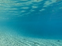 Солнечные батареи, которые производят электричество под водой
