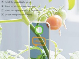 Няня для растений к 2015 году