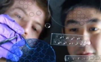 Контактные линзы, сообщающие владельцу уровень сахара в крови