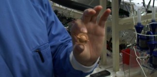 мобильный телефон на моче