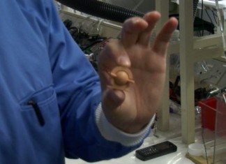 мобильный телефон на моче