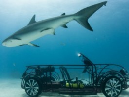 Клетка для акул из кабриолета Volkswagen Beetle