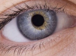 стволовые клетки, восстановление зрения