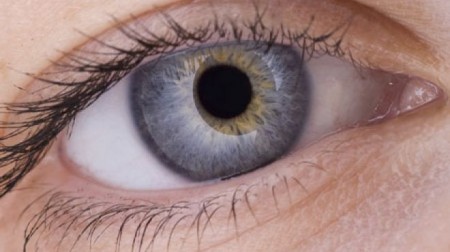 стволовые клетки, восстановление зрения