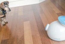 iFetch позволяет собаке играть самому по себе ifetch