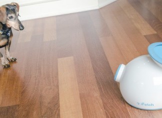 iFetch позволяет собаке играть самому по себе ifetch