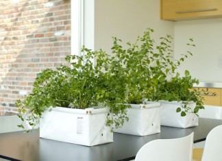 Let’s Patch: устройство для выращивания зелени в квартире lets patch