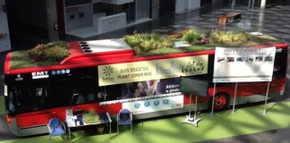 автобус с газоном на крыше