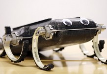 RHex – робот, который может заниматься паркуром