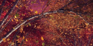 alis-battery-park-bench-design7