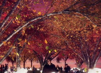 alis-battery-park-bench-design7