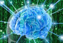 Ученые обнаружили жизненные функции в мозге после его смерти мозг