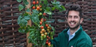 Картошка с помидорами