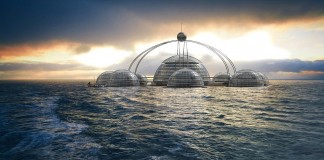 жизнь под водой