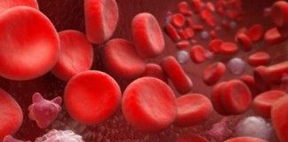 Искусственная кровь