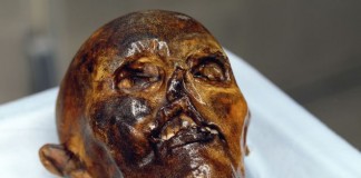 доисторический человек