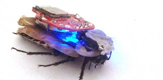 радиоуправляемый таракан