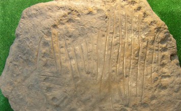 На Украине нашли самые старые солнечные часы в мире солнечные часы