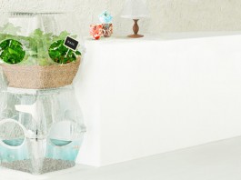 Овощной сад