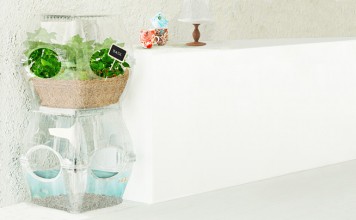 Овощной сад