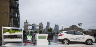 ферма Aquaponics