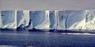 Антарктида