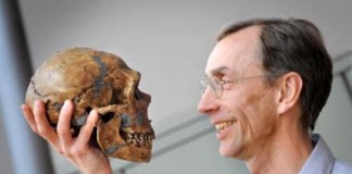 Неандертальцы