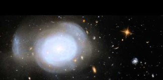 галактика «Белая роза»