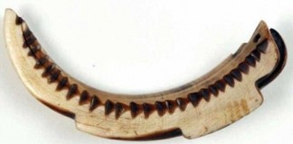 карманный календарь