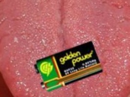 Электронный язык