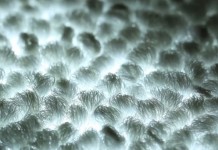 Светодиодные ковры – новое поколение традиционного домашнего атрибута Светодиодные ковры