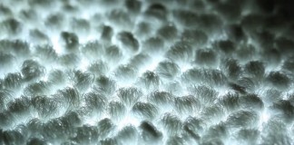 Светодиодные ковры