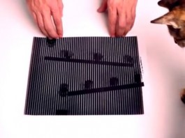 Зрительный обман