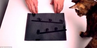 Зрительный обман