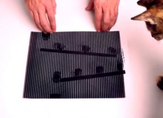 Зрительный обман