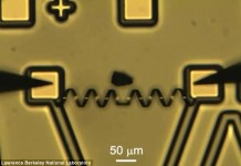 Министерство энергетики США создало роботизированные мышцы Лаборатория Беркли