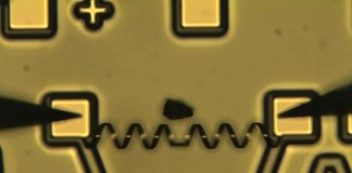 Лаборатория Беркли