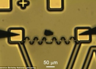 Новые роботизированные мышцы и их возможности Лаборатория Беркли