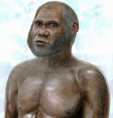 предок человека