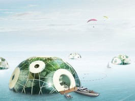 Растительная водная ферма: ферма фитопланктона, осуществляющая эксцессы поглощения CO2 и выделения O2 водная ферма