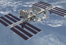 Исследователи собираются отправить стволовые клетки в космос, чтобы проследить темпы роста МКС