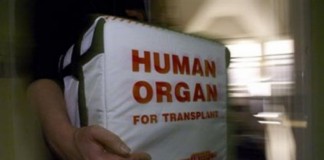 Пересадка матки