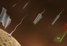 Дистанционное управление спермоботов позволяет женщине забеременеть Наноробот-сперматозоид