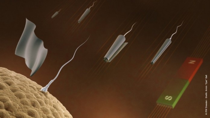 Наноробот-сперматозоид