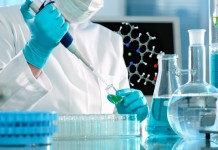 стволовые клетки