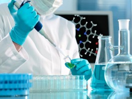 стволовые клетки