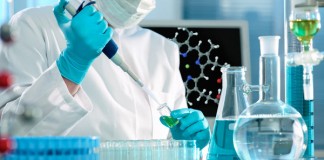 стволовые клетки