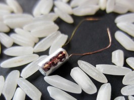 Слежка за лососем с помощью батареи jellyroll jellyroll