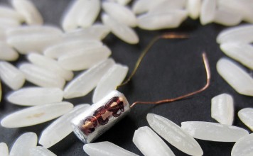 Слежка за лососем с помощью батареи jellyroll jellyroll