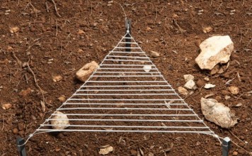 Stakes